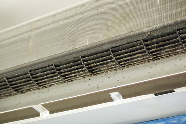 Ventilation Cleaning Services in Newnan, GA